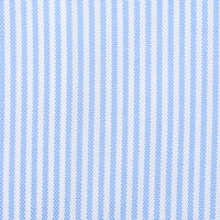 Oxford Button Down Shirt - White / Blue - University Stripe Thin