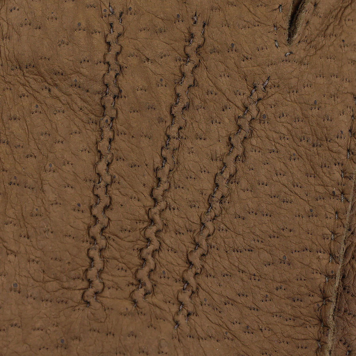 Peccary Gloves Unlined - Oatmeal