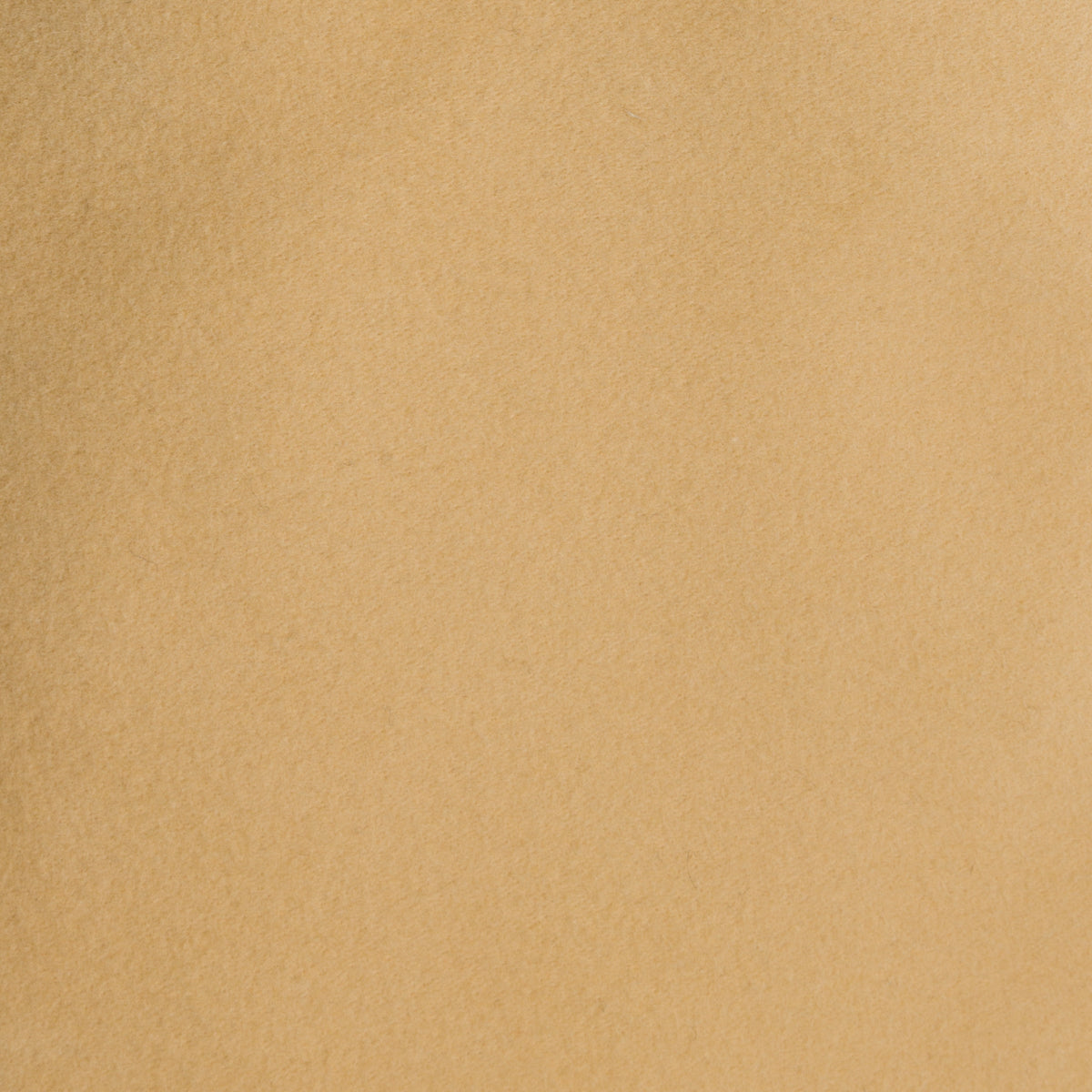 Moleskin Cotton Trousers - Camel