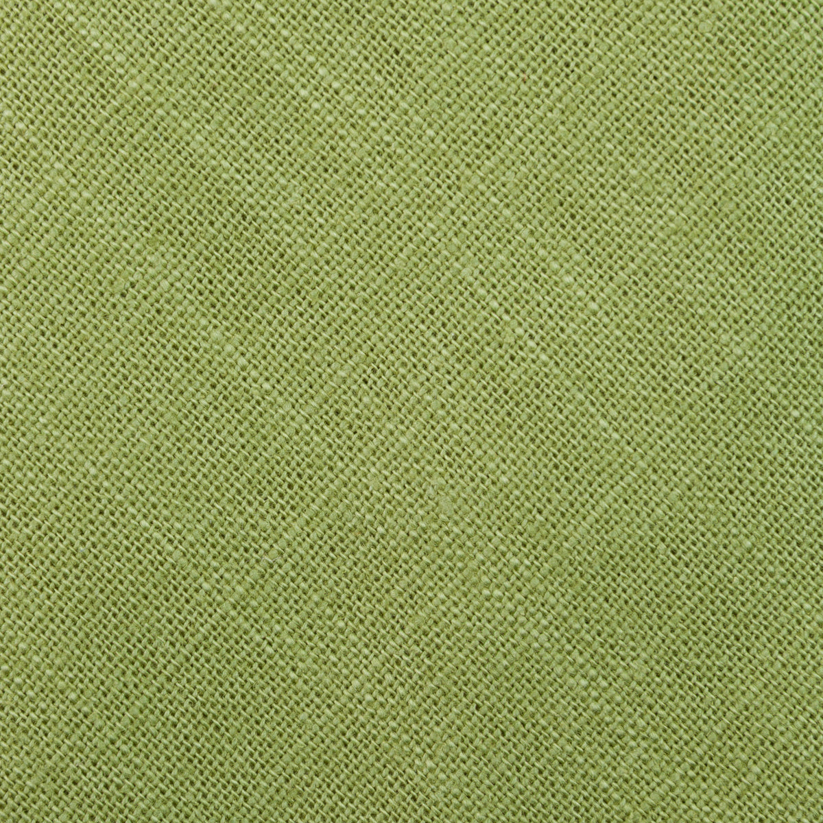 Japanese Ramie Tie - Grass - Hand-Rolled