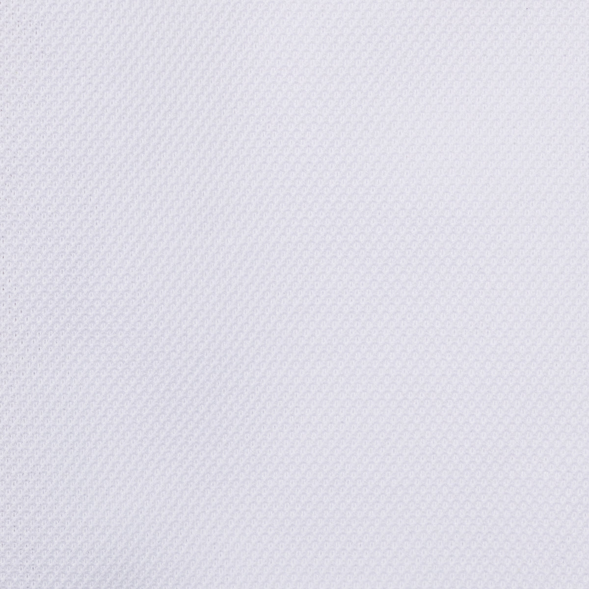 Long Sleeved Polo Shirt - Curved Wide Spread - White
